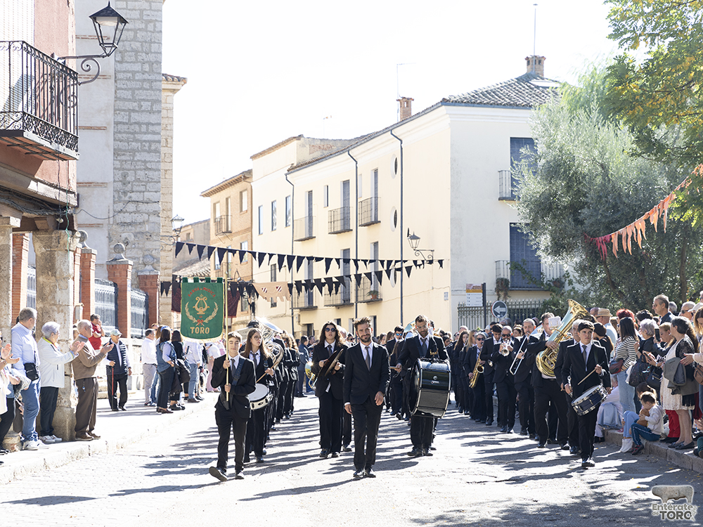 Un año más la Fiesta de la Vendimia supera todas las expectativas 5 1R9A0007 copia
