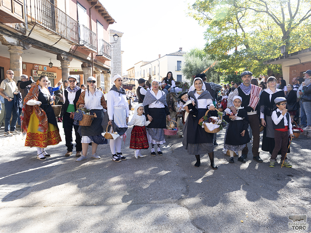 Un año más la Fiesta de la Vendimia supera todas las expectativas 8 1R9A0064 copia