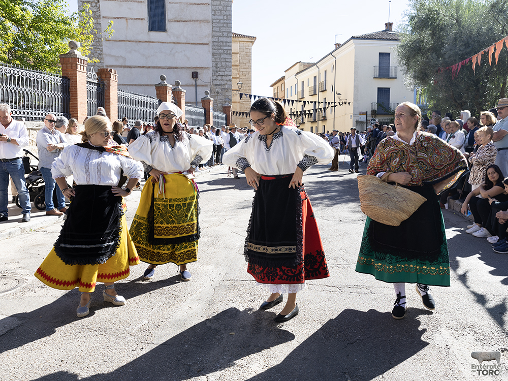Un año más la Fiesta de la Vendimia supera todas las expectativas 15 1R9A0104 copia