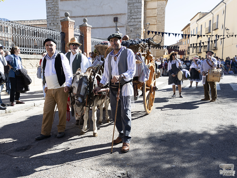 Un año más la Fiesta de la Vendimia supera todas las expectativas 16 1R9A0107 copia