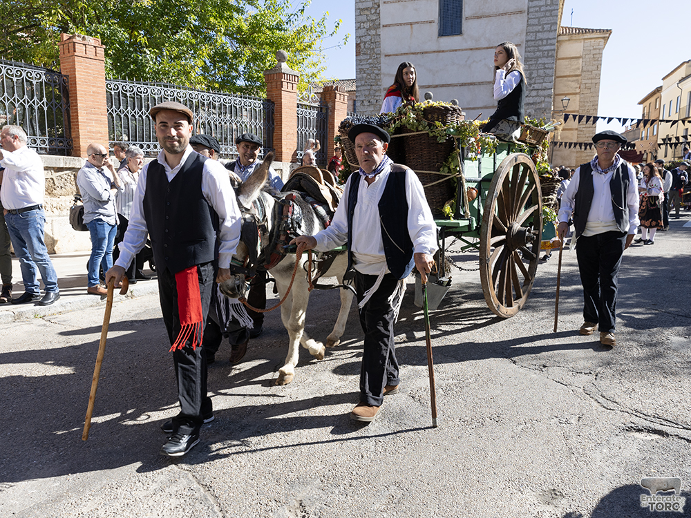 Un año más la Fiesta de la Vendimia supera todas las expectativas 17 1R9A0128 copia