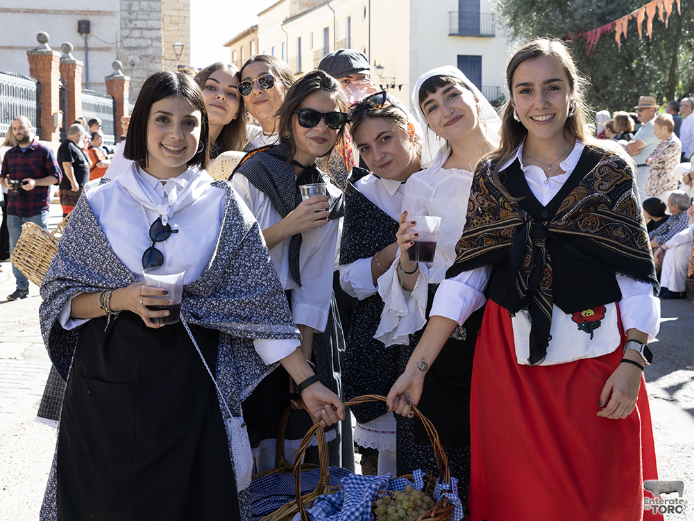 Un año más la Fiesta de la Vendimia supera todas las expectativas 19 1R9A0139 copia
