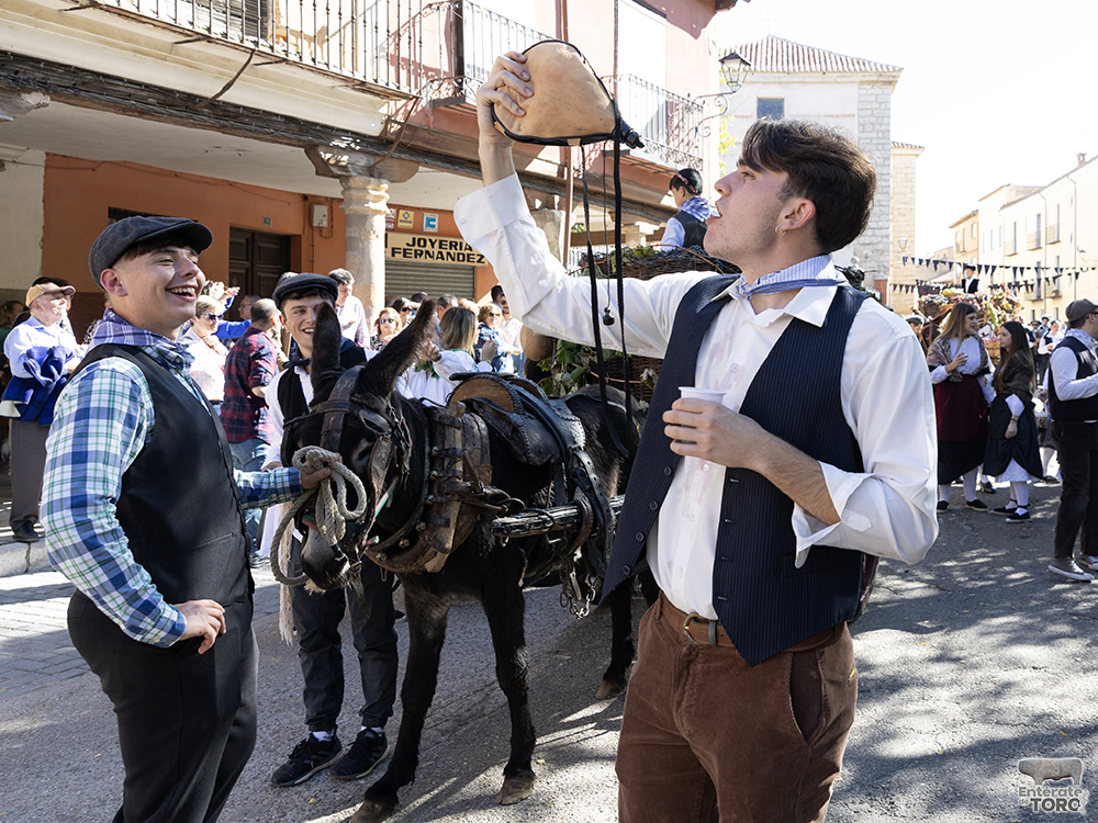 Un año más la Fiesta de la Vendimia supera todas las expectativas 20 1R9A0154 copia