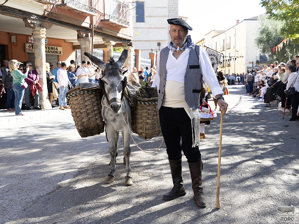 Un año más la Fiesta de la Vendimia supera todas las expectativas 25 1R9A0222 copia