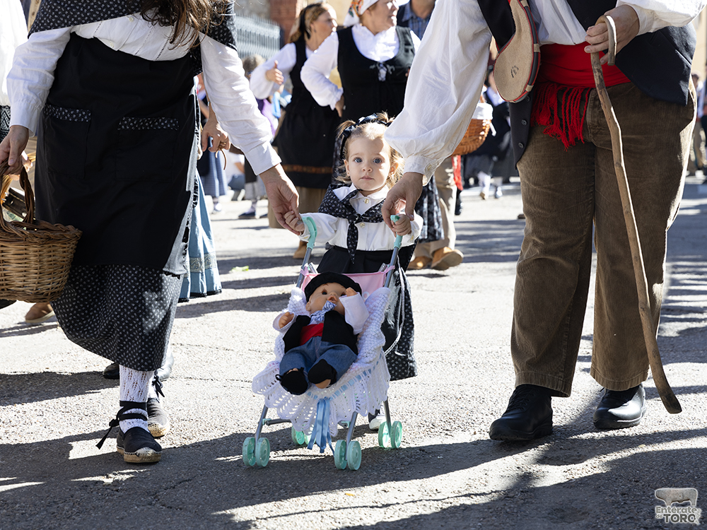 Un año más la Fiesta de la Vendimia supera todas las expectativas 29 1R9A0262 copia