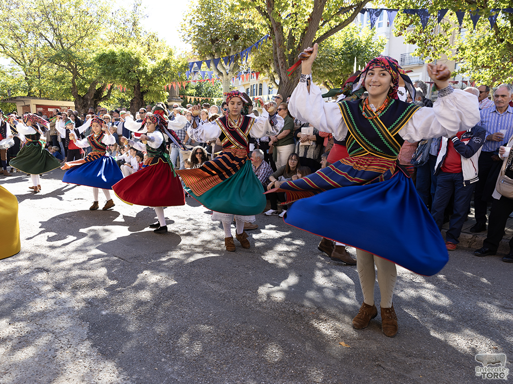 Un año más la Fiesta de la Vendimia supera todas las expectativas 31 1R9A0290 copia