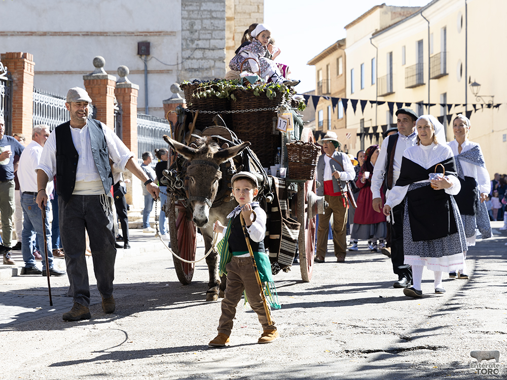 Un año más la Fiesta de la Vendimia supera todas las expectativas 34 1R9A0322 copia