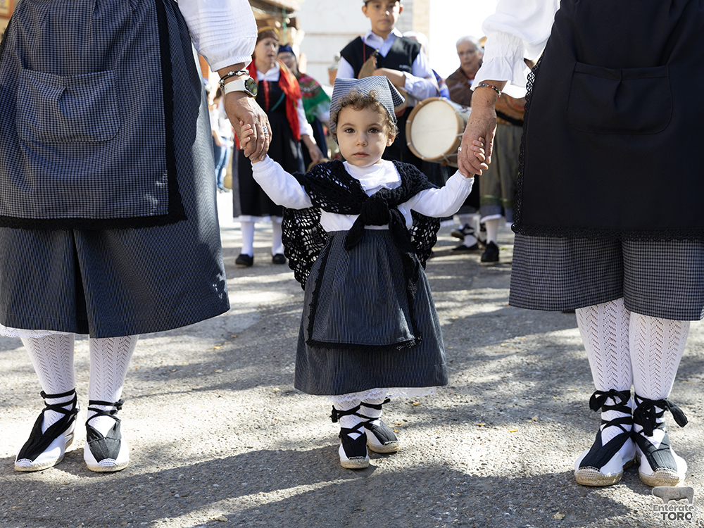 Un año más la Fiesta de la Vendimia supera todas las expectativas 36 1R9A0343 copia