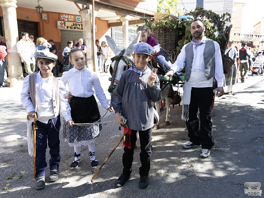 Un año más la Fiesta de la Vendimia supera todas las expectativas 37 1R9A0355 copia