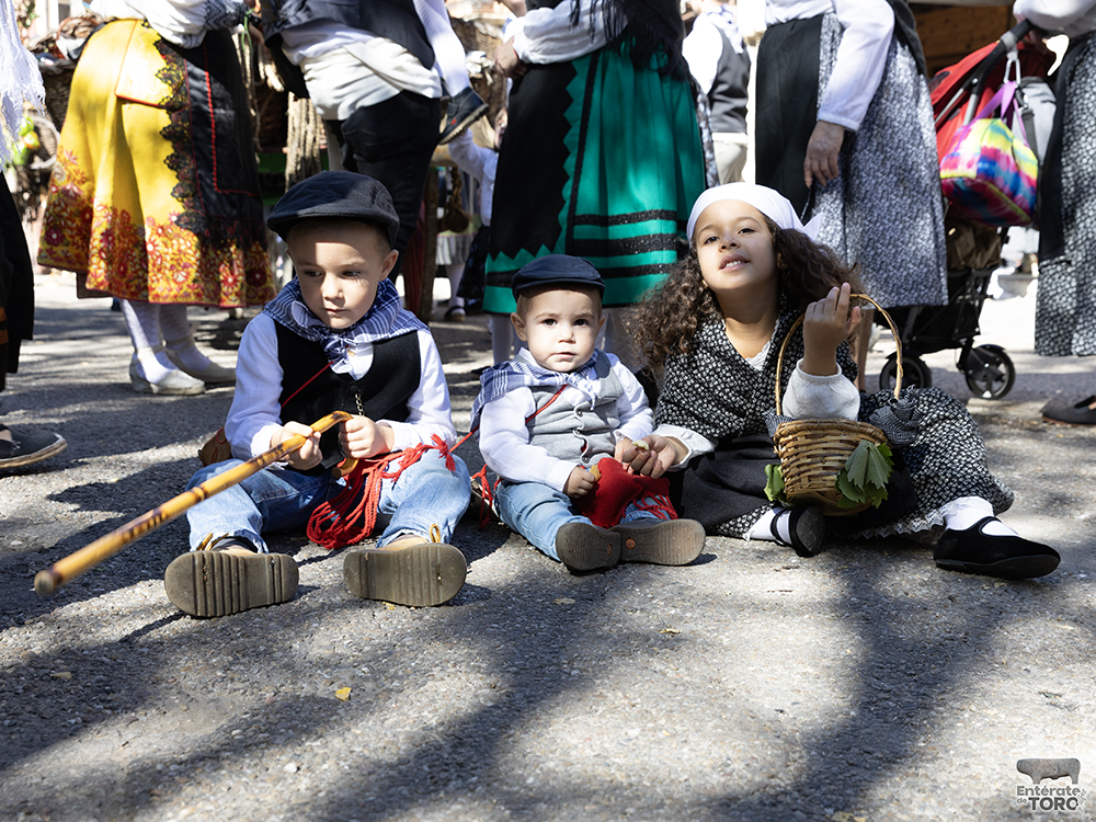Un año más la Fiesta de la Vendimia supera todas las expectativas 39 1R9A0386 copia
