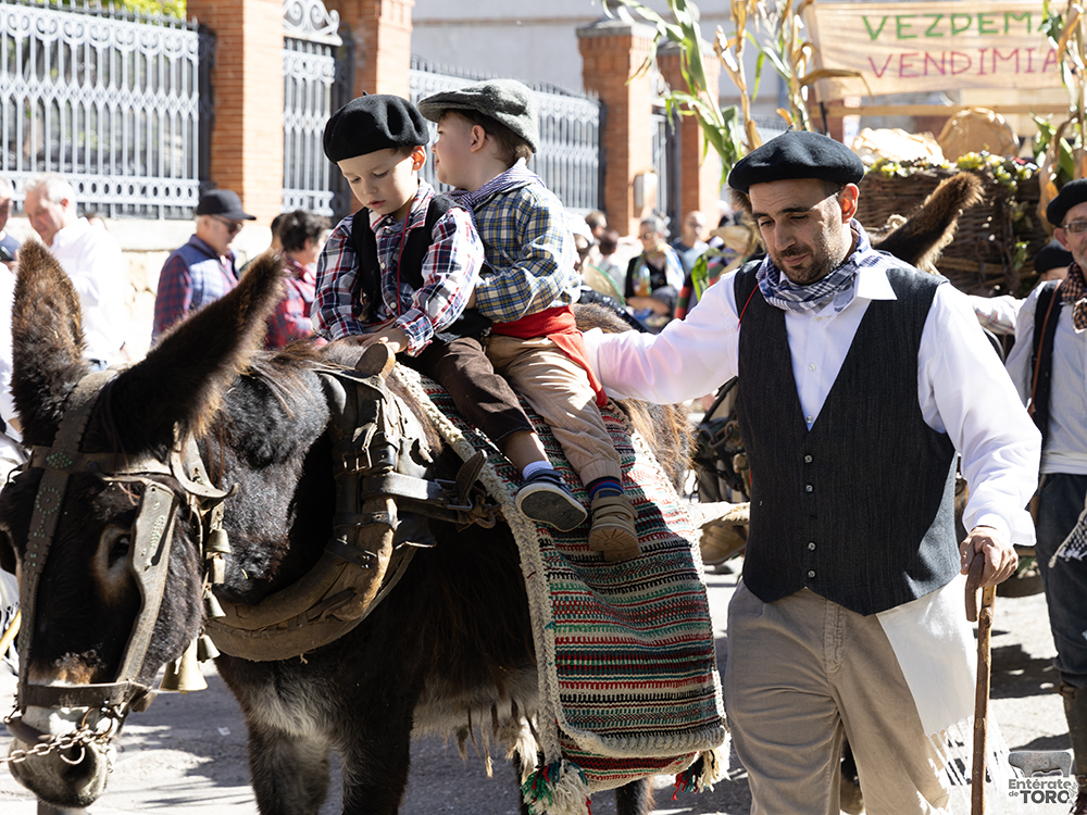 Un año más la Fiesta de la Vendimia supera todas las expectativas 41 1R9A0396 copia