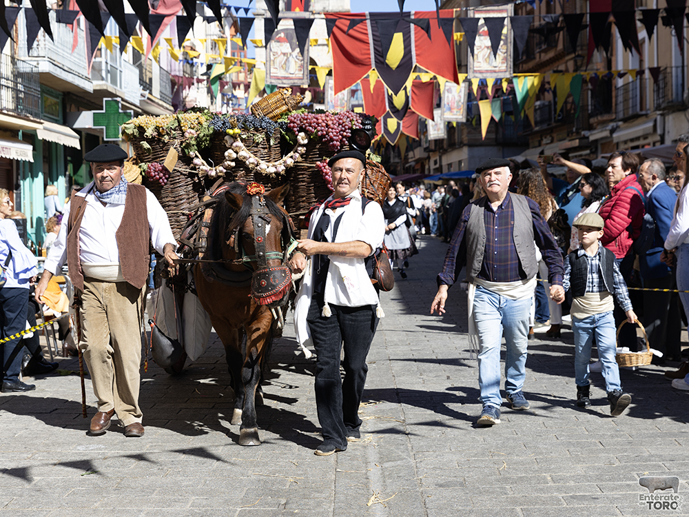 Un año más la Fiesta de la Vendimia supera todas las expectativas 48 1R9A0479 copia