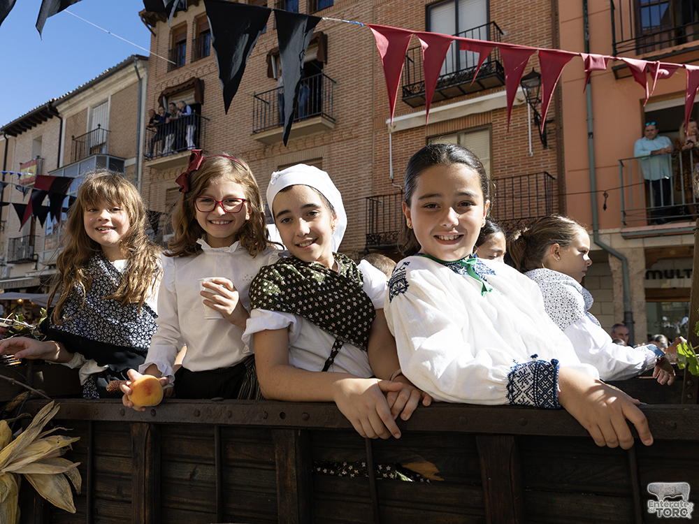 Un año más la Fiesta de la Vendimia supera todas las expectativas 50 1R9A0501 copia