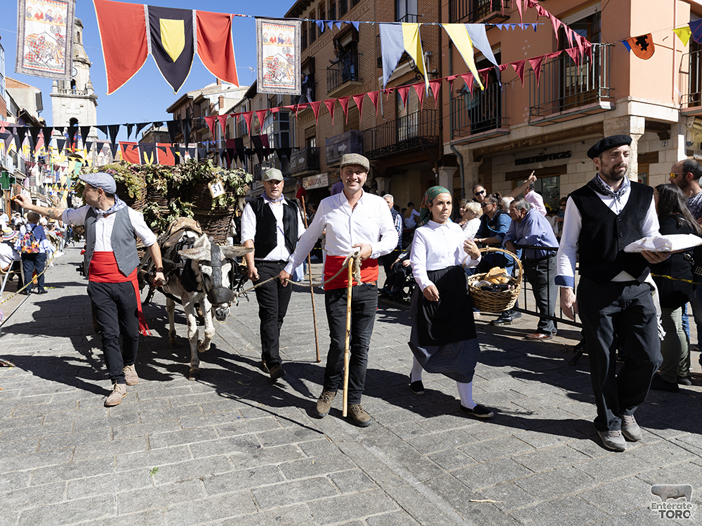 Un año más la Fiesta de la Vendimia supera todas las expectativas 52 1R9A0528 copia