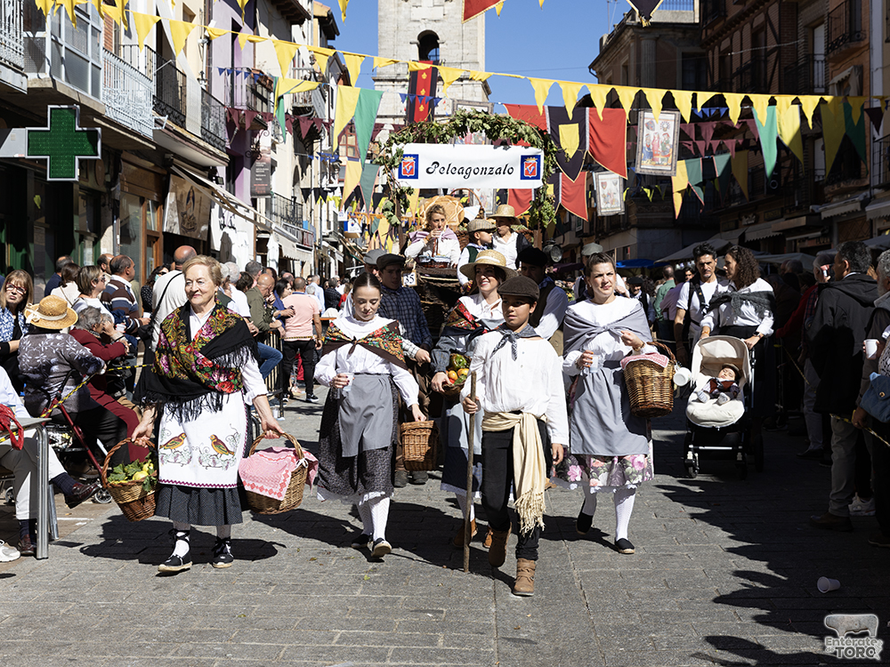 Un año más la Fiesta de la Vendimia supera todas las expectativas 54 1R9A0565 copia