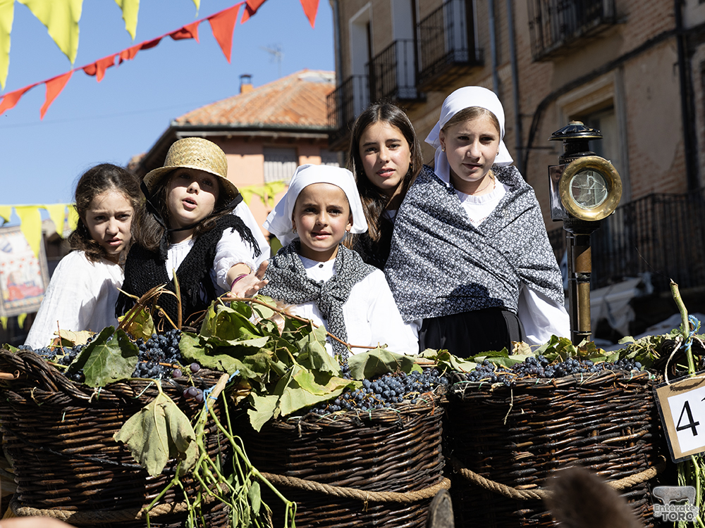Un año más la Fiesta de la Vendimia supera todas las expectativas 62 1R9A0645 copia
