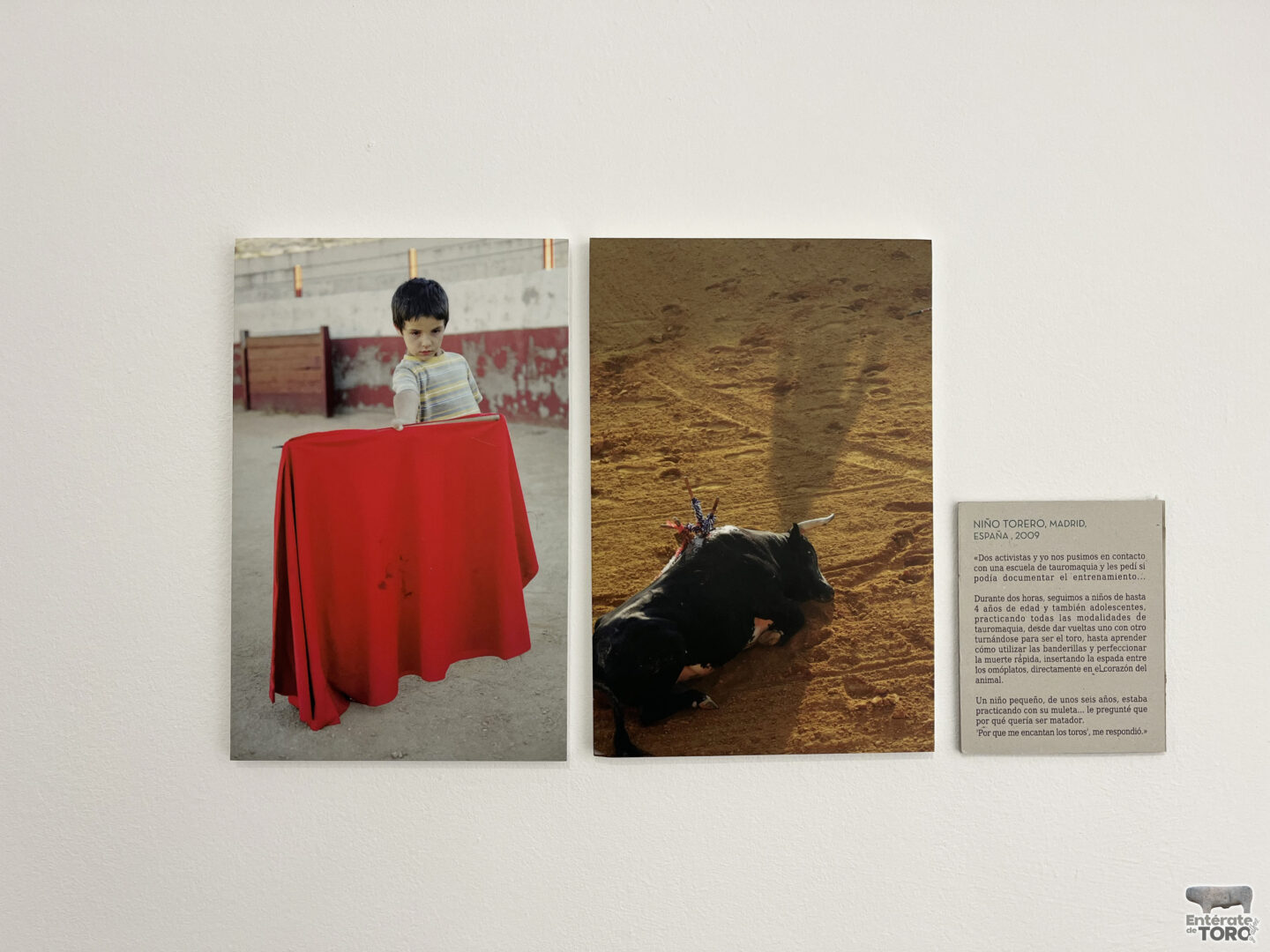 La sala de exposiciones de la Casa de la Cultura acoge “We Animals, Caminando en Círculos” 4 IMG 8338 copia