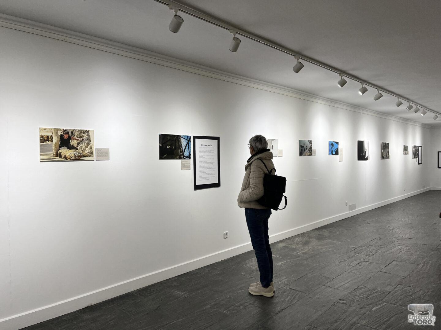 La sala de exposiciones de la Casa de la Cultura acoge “We Animals, Caminando en Círculos” 1 IMG 8427 copia