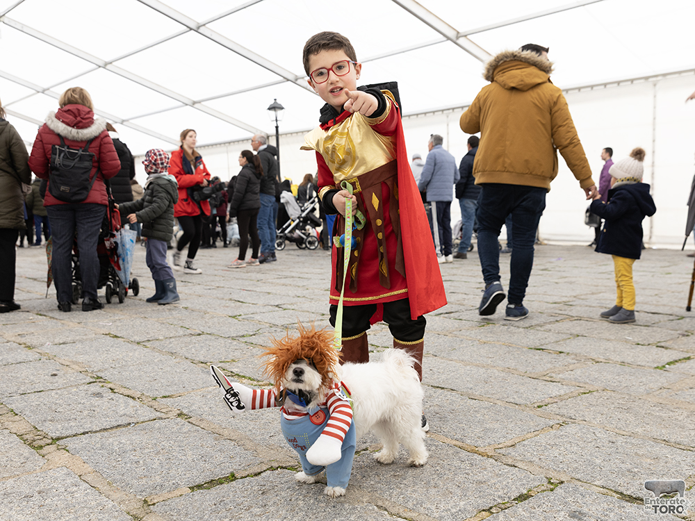 El perro costurero fue el ganador del Concurso de Disfraces de Mascotas 1 Concurso Mascotas 1