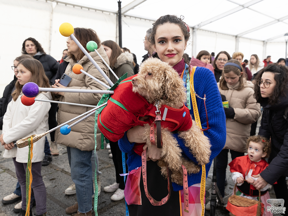 El perro costurero fue el ganador del Concurso de Disfraces de Mascotas 10 Concurso Mascotas 10