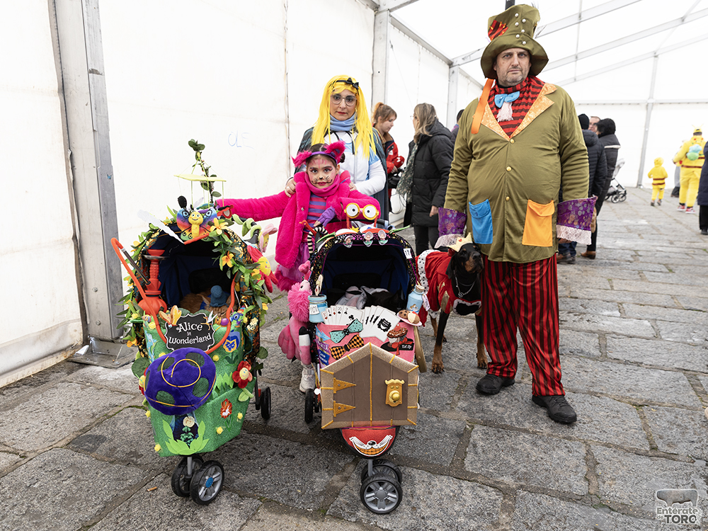 El perro costurero fue el ganador del Concurso de Disfraces de Mascotas 3 Concurso Mascotas 3