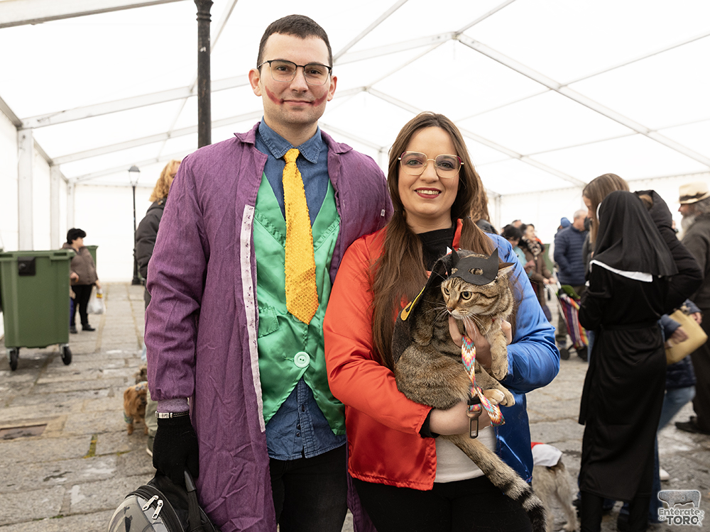 El perro costurero fue el ganador del Concurso de Disfraces de Mascotas 4 Concurso Mascotas 4