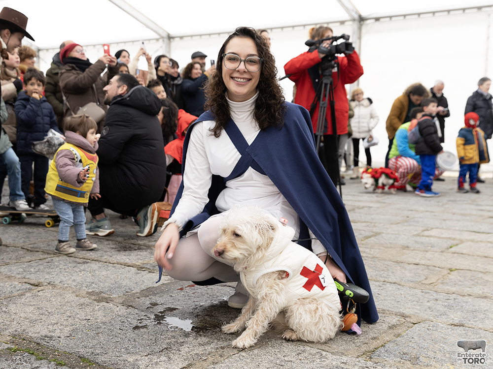El perro costurero fue el ganador del Concurso de Disfraces de Mascotas 5 Concurso Mascotas 5