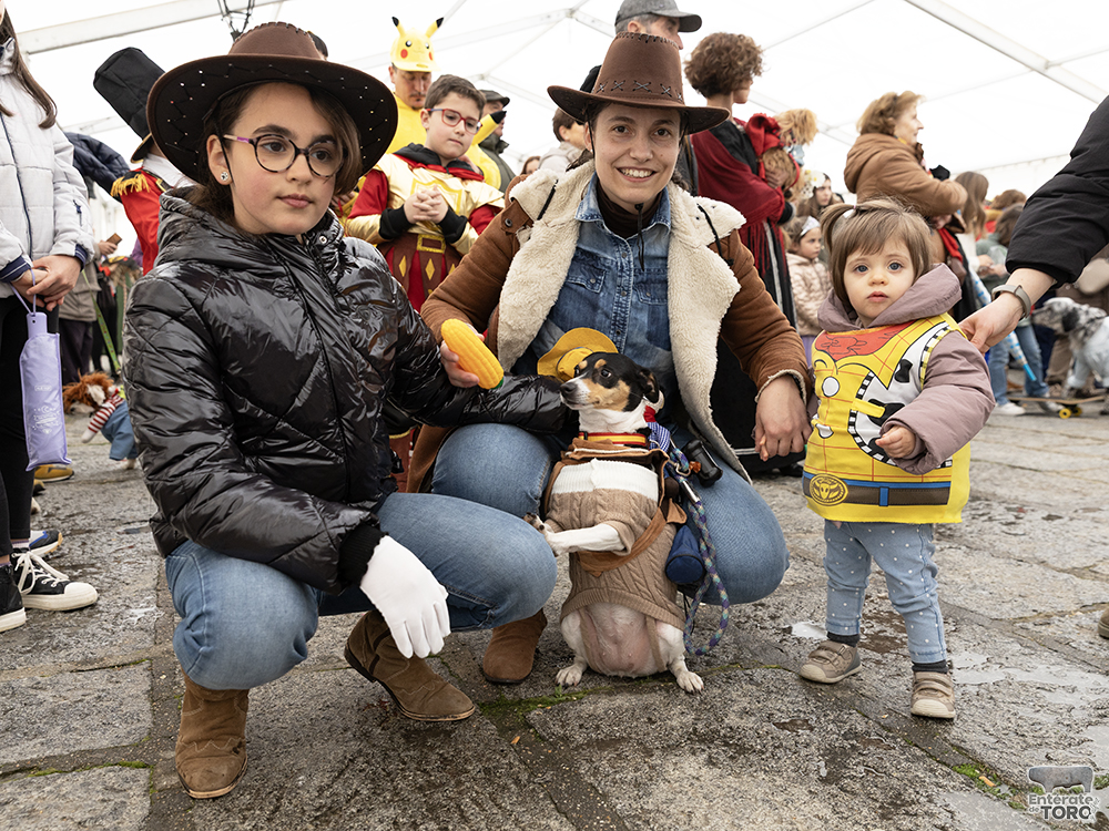 El perro costurero fue el ganador del Concurso de Disfraces de Mascotas 6 Concurso Mascotas 6