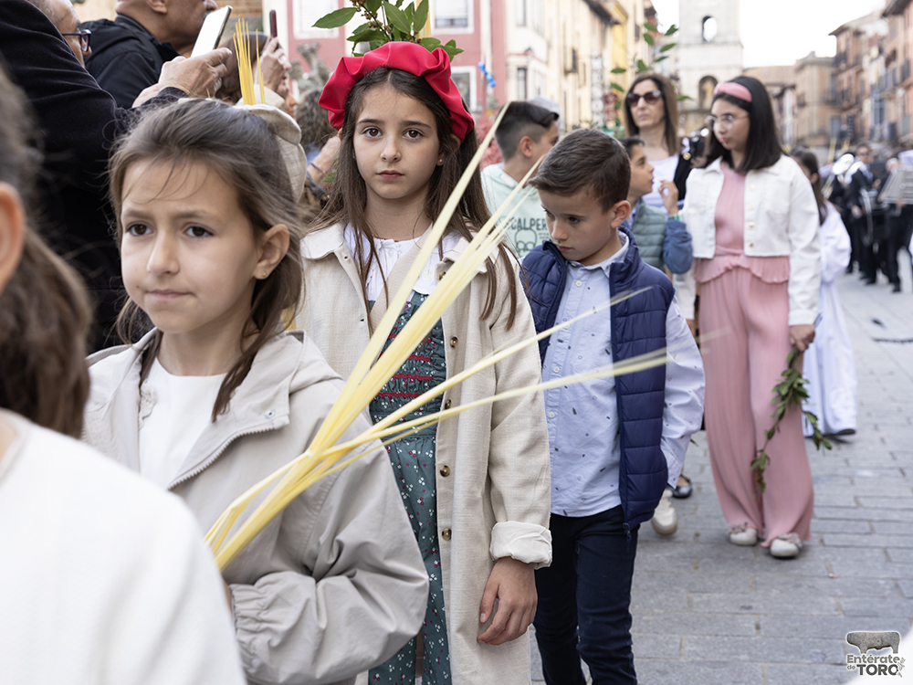 La Asociación Santo Sepulcro y la Soledad celebra la entrada triunfal de Jesucristo en Jerusalén este Domingo de Ramos 11 Domingo de Ramos 11