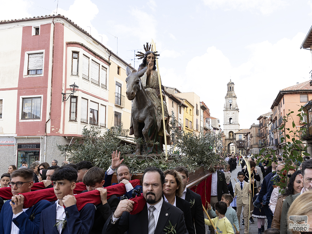 La Asociación Santo Sepulcro y la Soledad celebra la entrada triunfal de Jesucristo en Jerusalén este Domingo de Ramos 14 Domingo de Ramos 14
