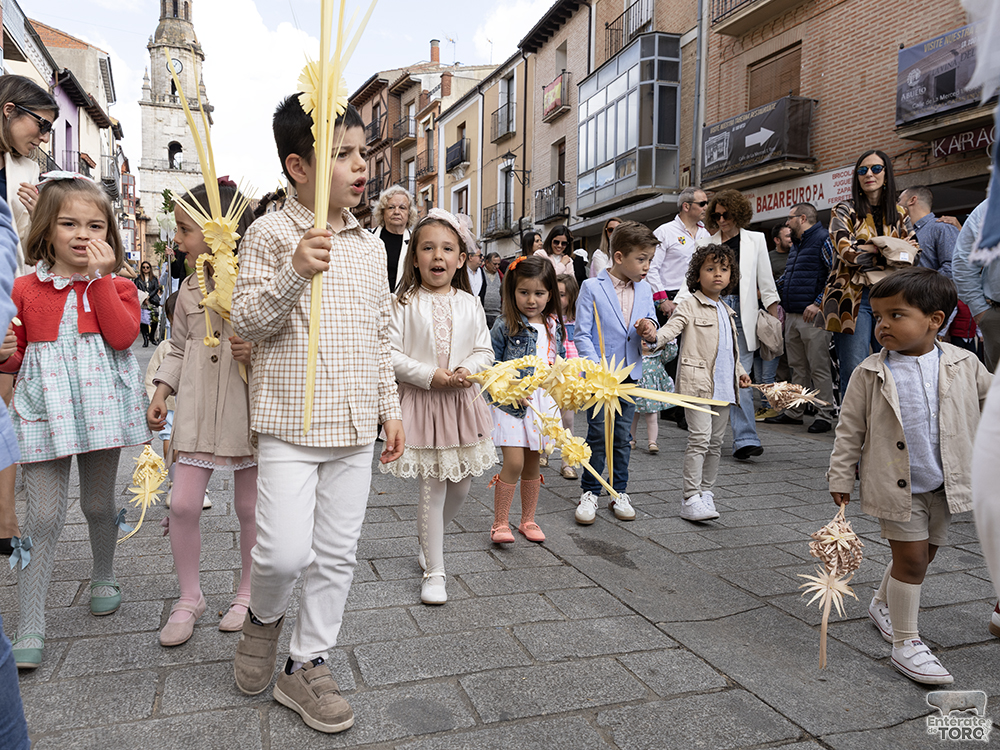 La Asociación Santo Sepulcro y la Soledad celebra la entrada triunfal de Jesucristo en Jerusalén este Domingo de Ramos 19 Domingo de Ramos 19