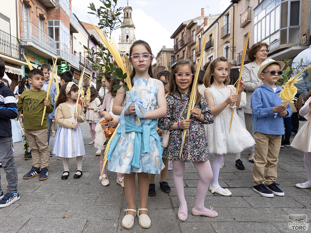 La Asociación Santo Sepulcro y la Soledad celebra la entrada triunfal de Jesucristo en Jerusalén este Domingo de Ramos 20 Domingo de Ramos 20