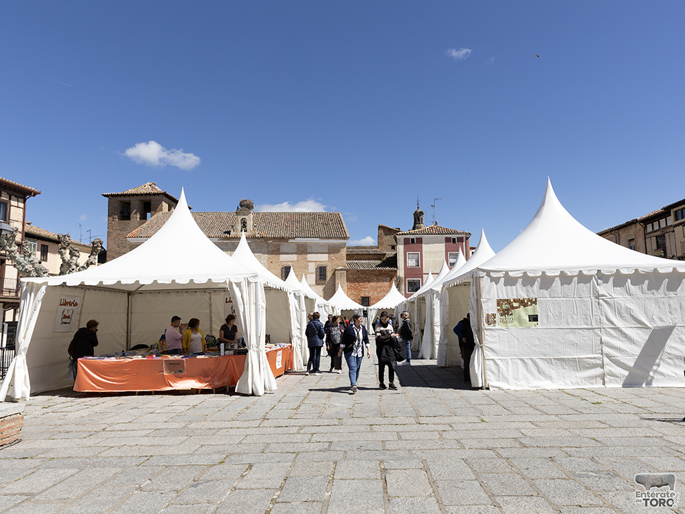La Feria del Libro de Toro celebra su tercera edición este fin de semana 6 Feria del libro 6