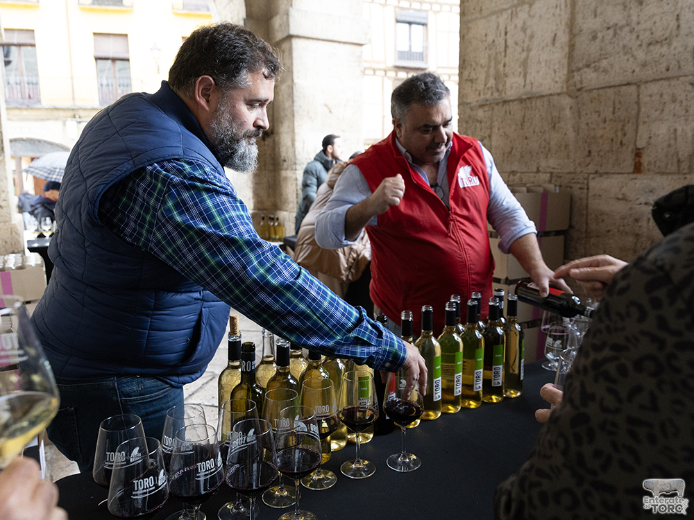 La lluvia no frenó brindar por el Día del Vino con Denominación de Origen en la ciudad de Toro. 1 Brindis DO 1
