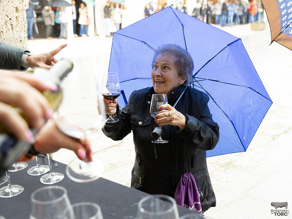 La lluvia no frenó brindar por el Día del Vino con Denominación de Origen en la ciudad de Toro. 4 Brindis DO 4