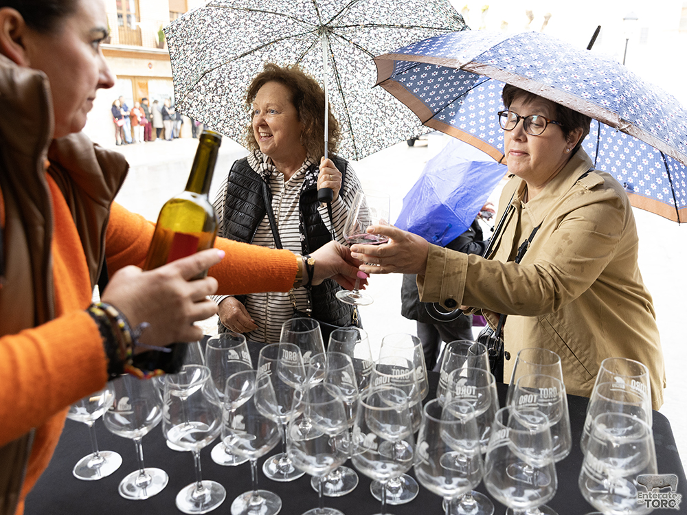 La lluvia no frenó brindar por el Día del Vino con Denominación de Origen en la ciudad de Toro. 5 Brindis DO 5