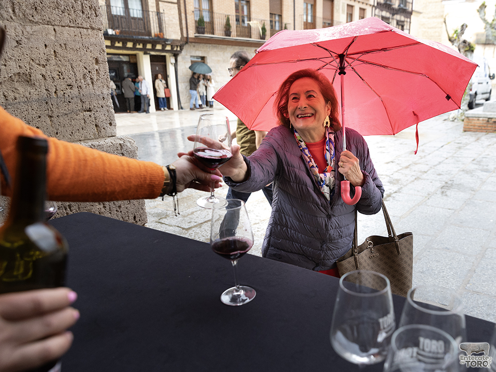 La lluvia no frenó brindar por el Día del Vino con Denominación de Origen en la ciudad de Toro. 6 Brindis DO 6