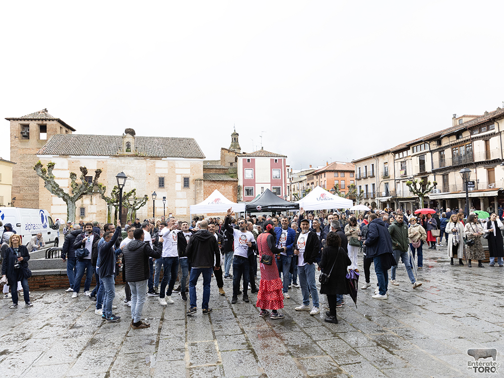 La lluvia no frenó brindar por el Día del Vino con Denominación de Origen en la ciudad de Toro. 8 Brindis DO 8