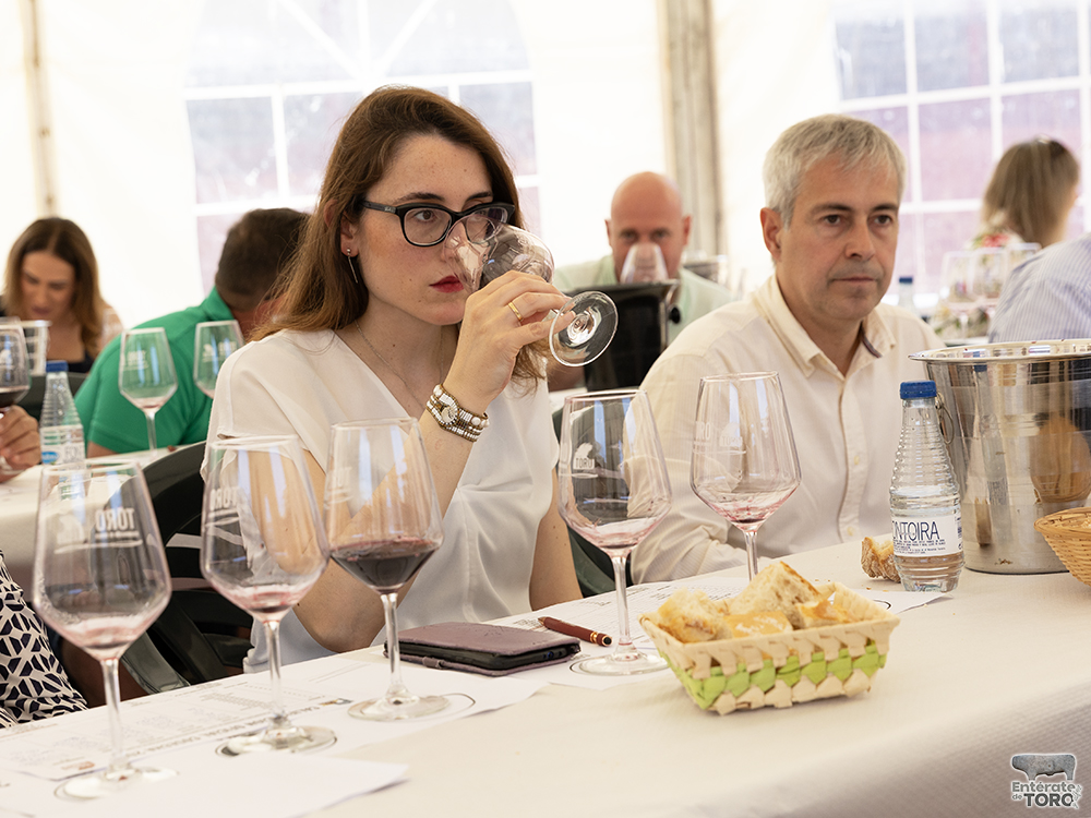 La Feria del Vino arranca con una calificación de añada 2024 excelente 30 Calificacion de anada 10