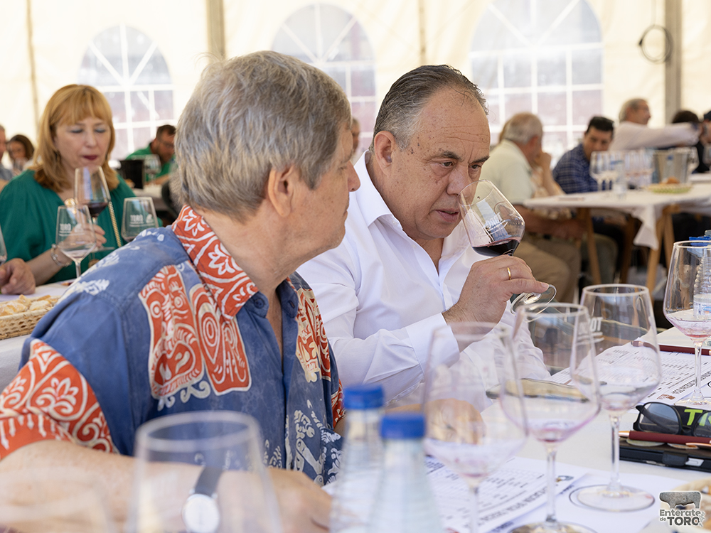 La Feria del Vino arranca con una calificación de añada 2024 excelente 31 Calificacion de anada 11