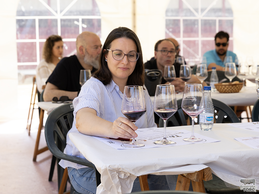 La Feria del Vino arranca con una calificación de añada 2024 excelente 33 Calificacion de anada 13