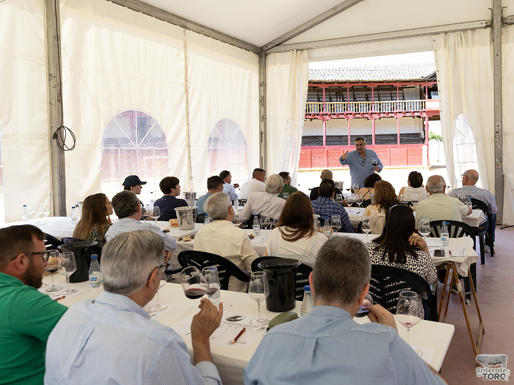 La Feria del Vino arranca con una calificación de añada 2024 excelente 36 Calificacion de anada 16