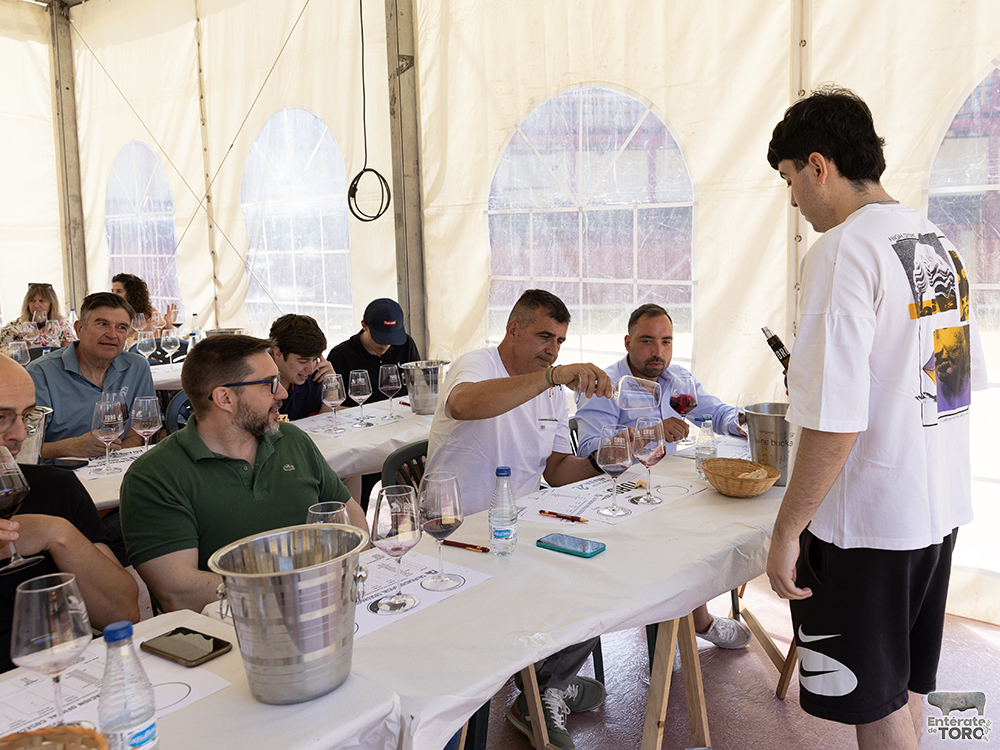 La Feria del Vino arranca con una calificación de añada 2024 excelente 37 Calificacion de anada 17