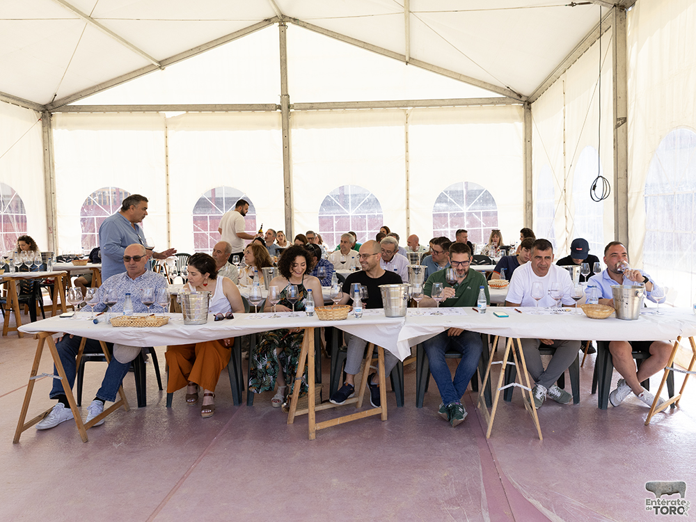 La Feria del Vino arranca con una calificación de añada 2024 excelente 38 Calificacion de anada 18