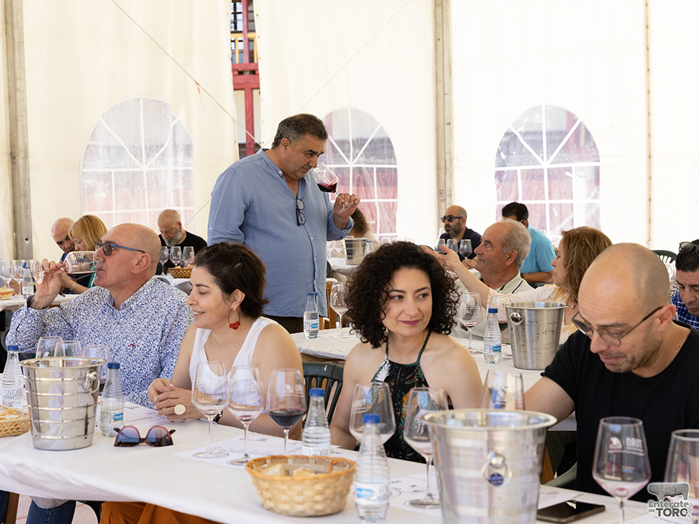 La Feria del Vino arranca con una calificación de añada 2024 excelente 39 Calificacion de anada 19
