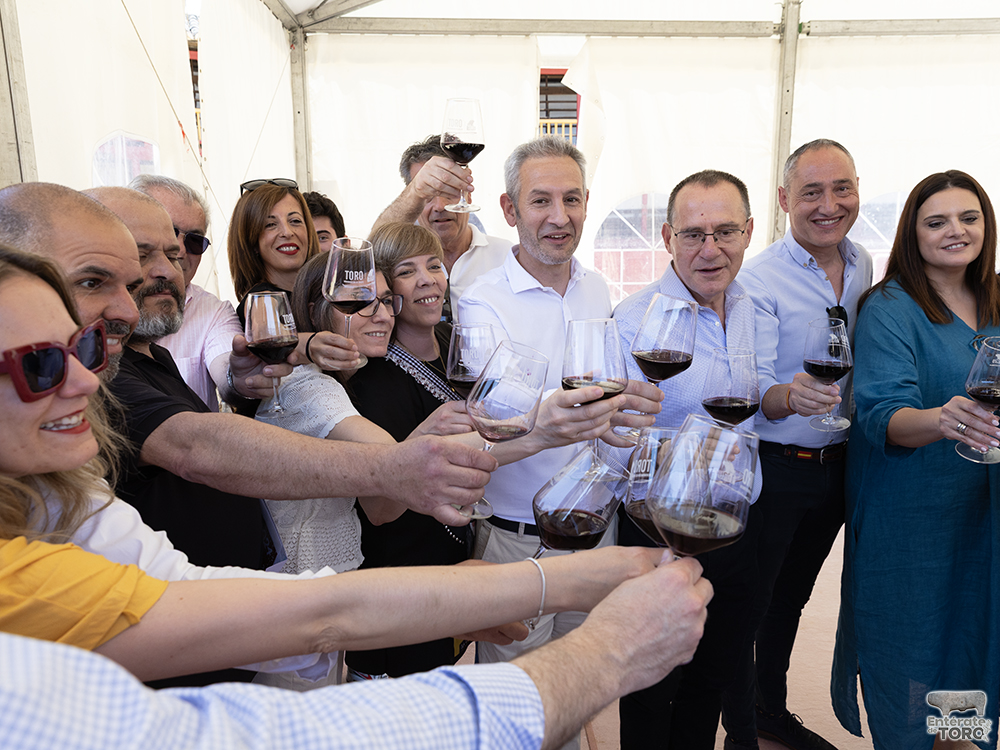 La Feria del Vino arranca con una calificación de añada 2024 excelente 40 Calificacion de anada 20