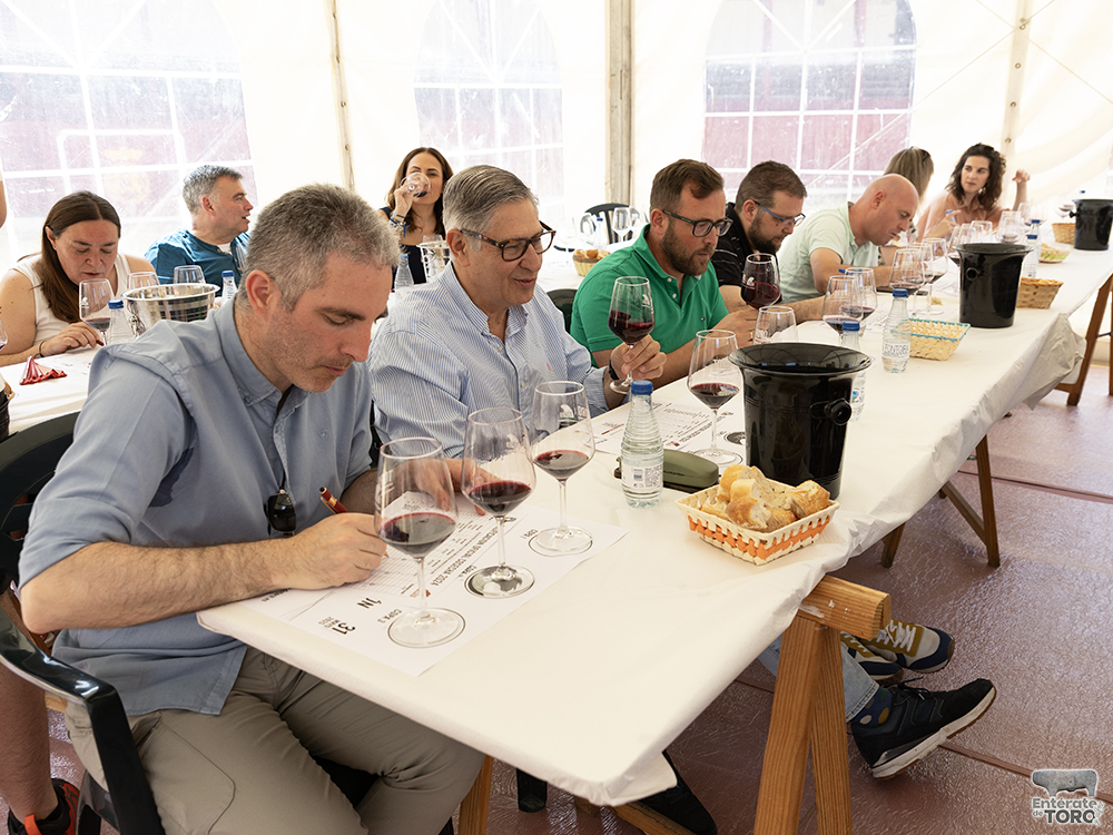 La Feria del Vino arranca con una calificación de añada 2024 excelente 25 Calificacion de anada 5