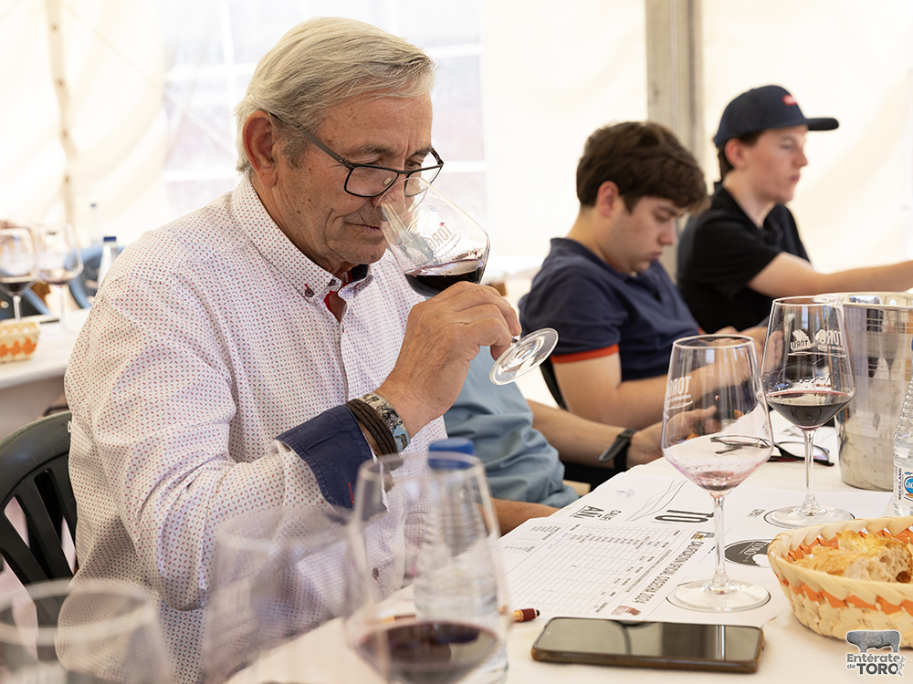 La Feria del Vino arranca con una calificación de añada 2024 excelente 28 Calificacion de anada 8