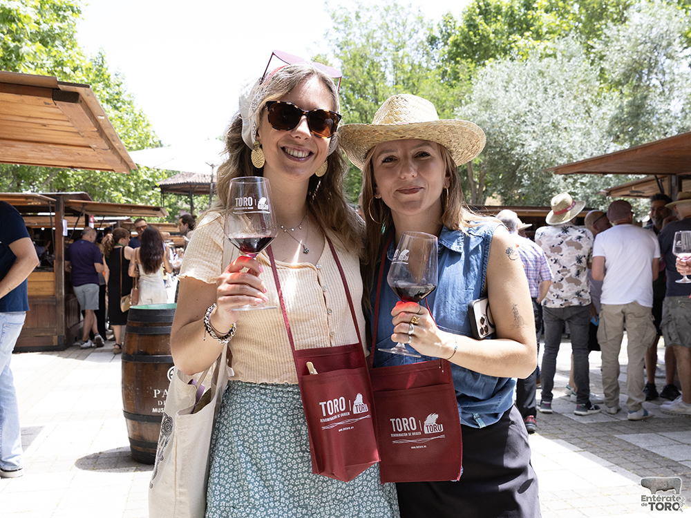 La Feria del Vino arranca con una calificación de añada 2024 excelente 1 Feria del Vino 1