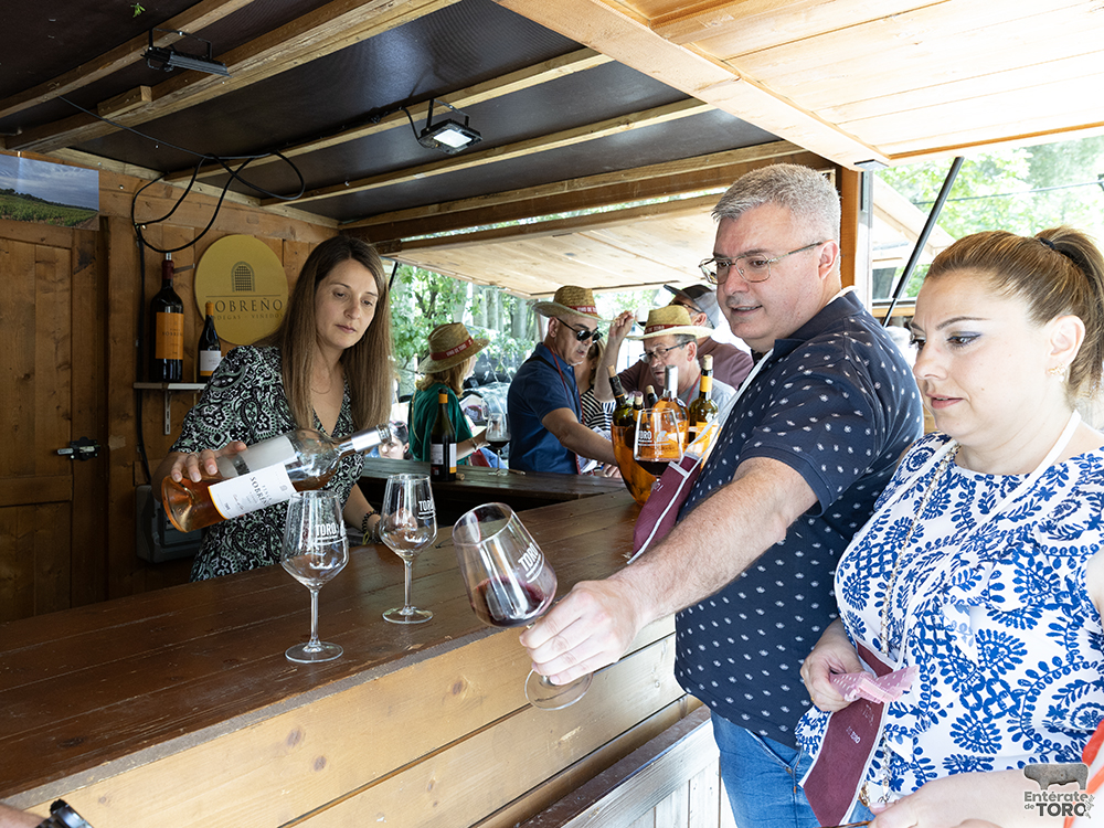 La Feria del Vino arranca con una calificación de añada 2024 excelente 10 Feria del Vino 10